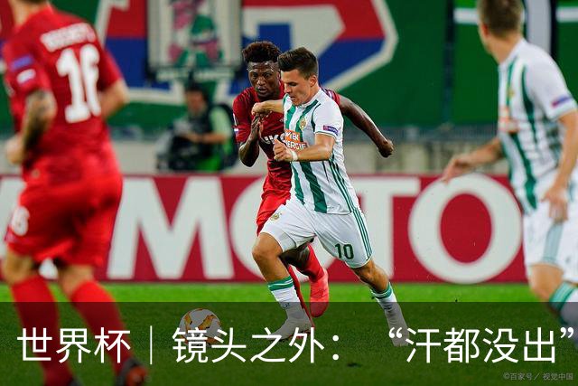 世界杯｜镜头之外：“汗都没出”的哈兰德，怎么就决定了比赛？