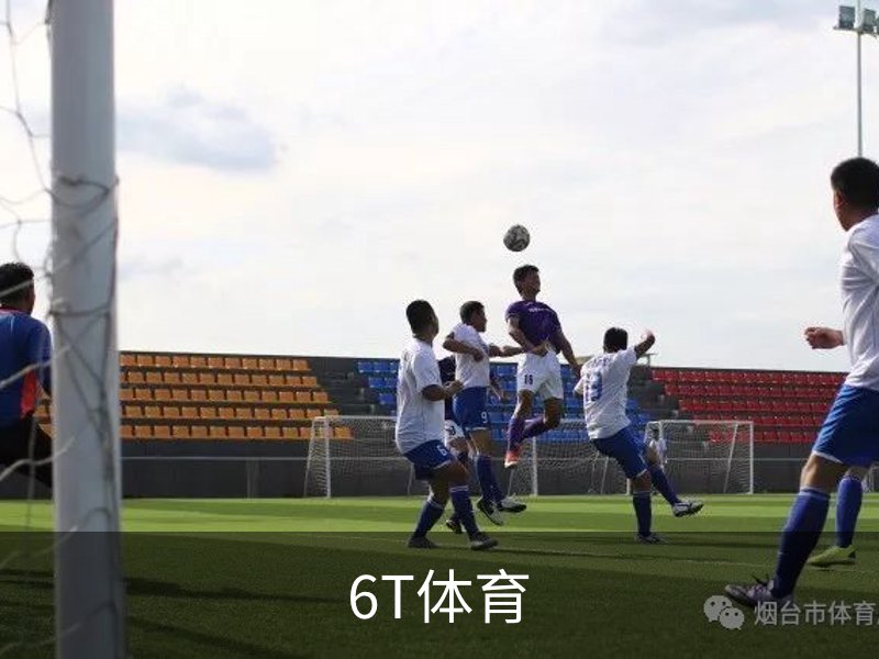关于6T体育